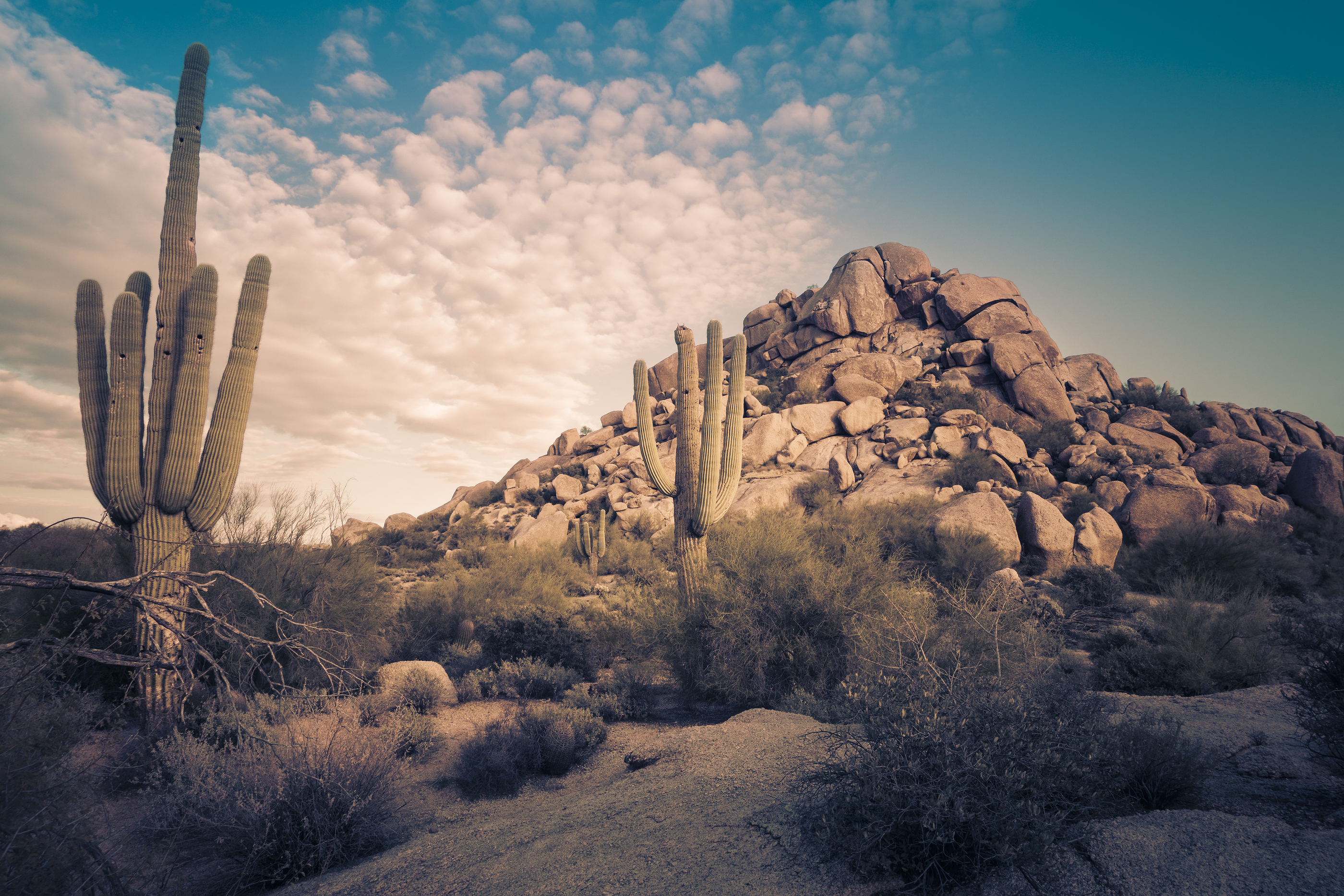 Desert landscape representing the ministry's reach